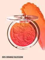 #N437 Signature Ombre Blush