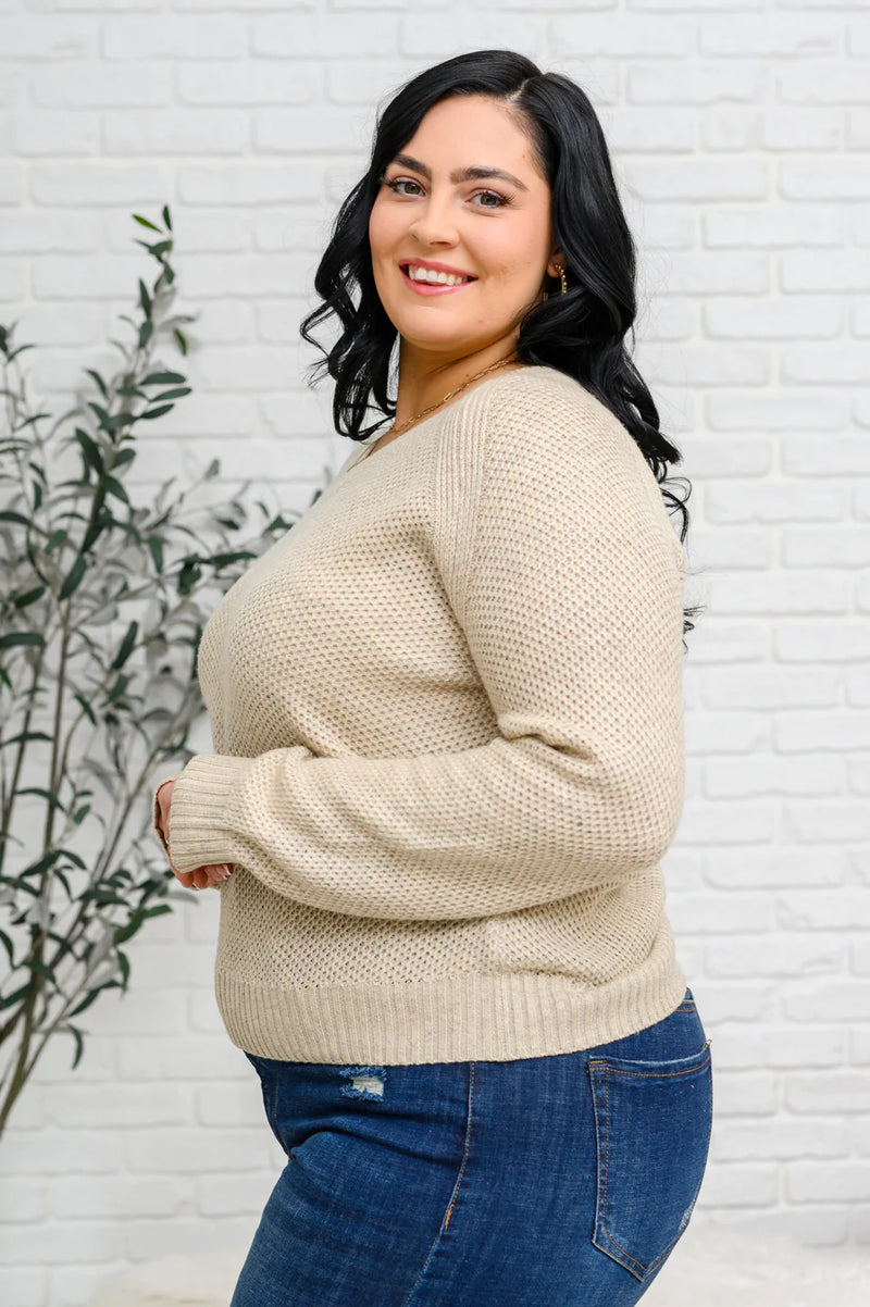 Chai Latte V Neck Sweater in Oatmeal BF35