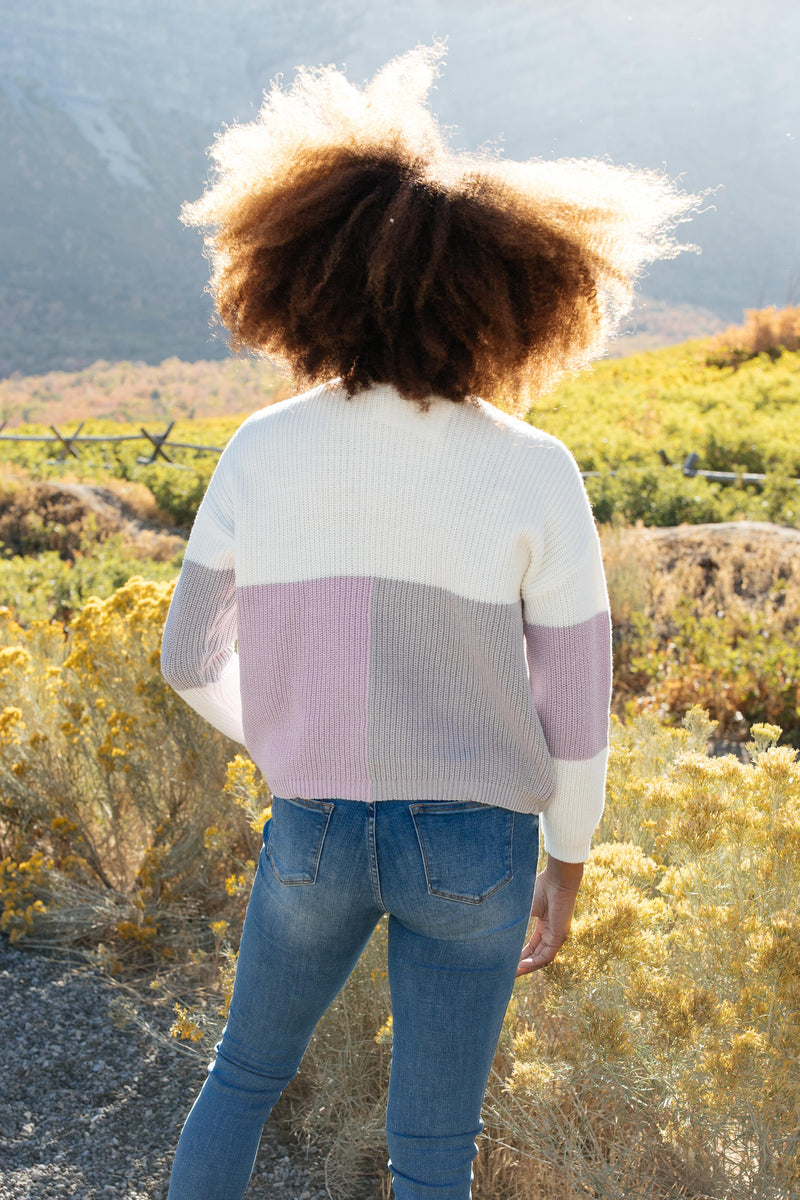 Color Block Top in Lavender Winter22