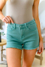 Kenley Mid Rise Cut Off Shorts LD23