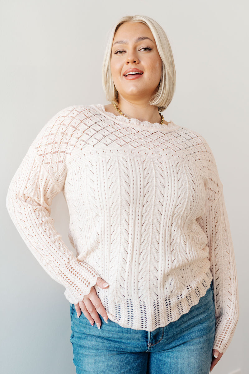 Hole In One Sheer Pointelle Knit Sweater