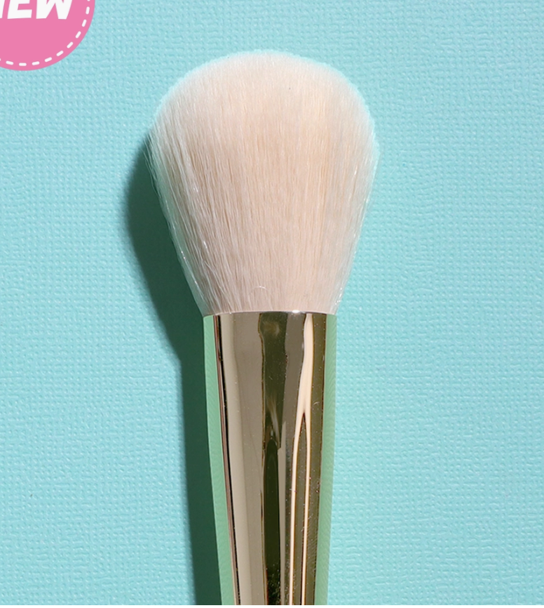 #107-Tapered Blush Brush