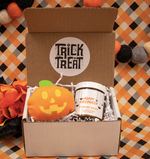 #N698 HALLOWEEN GIFT BOX WITH CANDLE AND PLUSH (PREORDER)