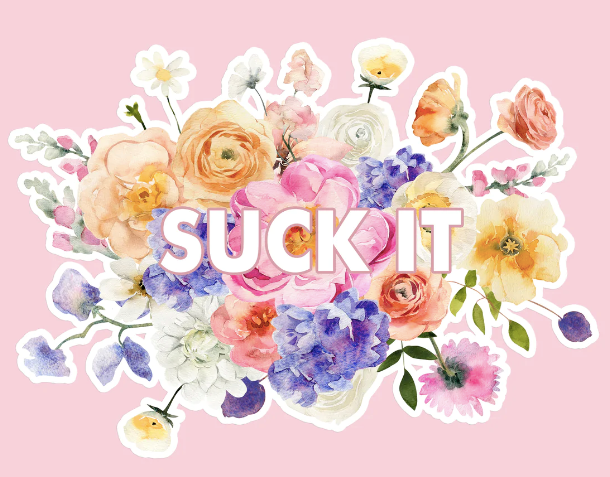 Funny Stickers S*ck It