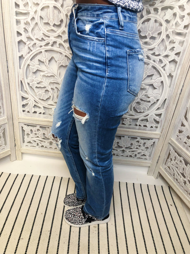 #M458  Leona Distressed Vervet Jeans